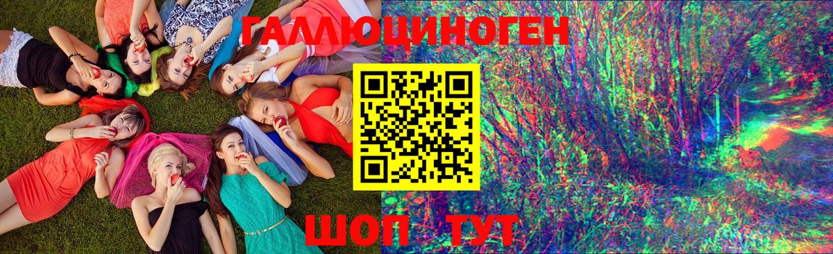 Псилоцибиновые грибы Cubensis Людиново