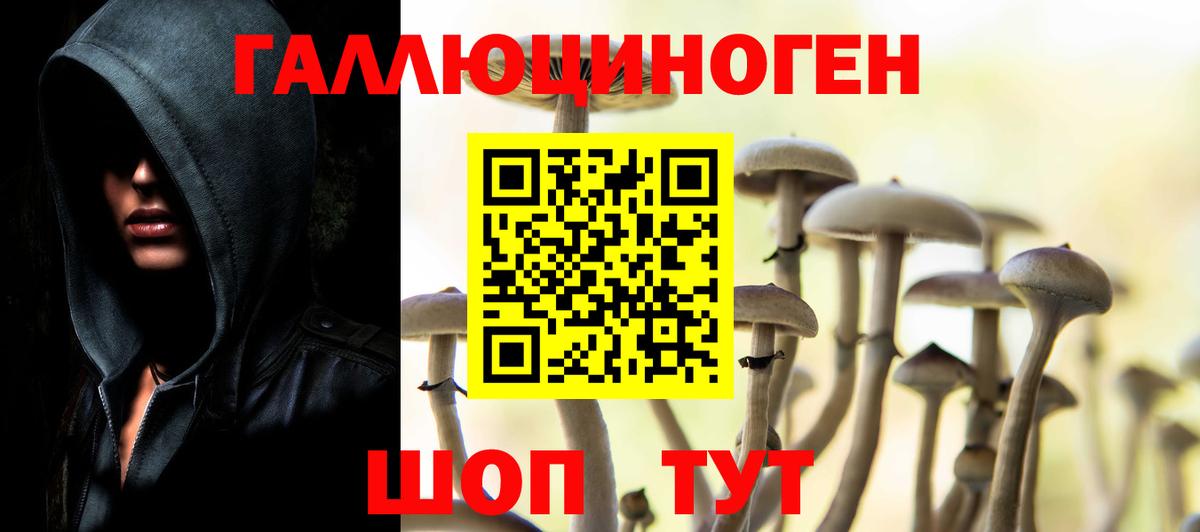 Галлюциногенные грибы MAGIC MUSHROOMS  Вход с VPN  Людиново 
